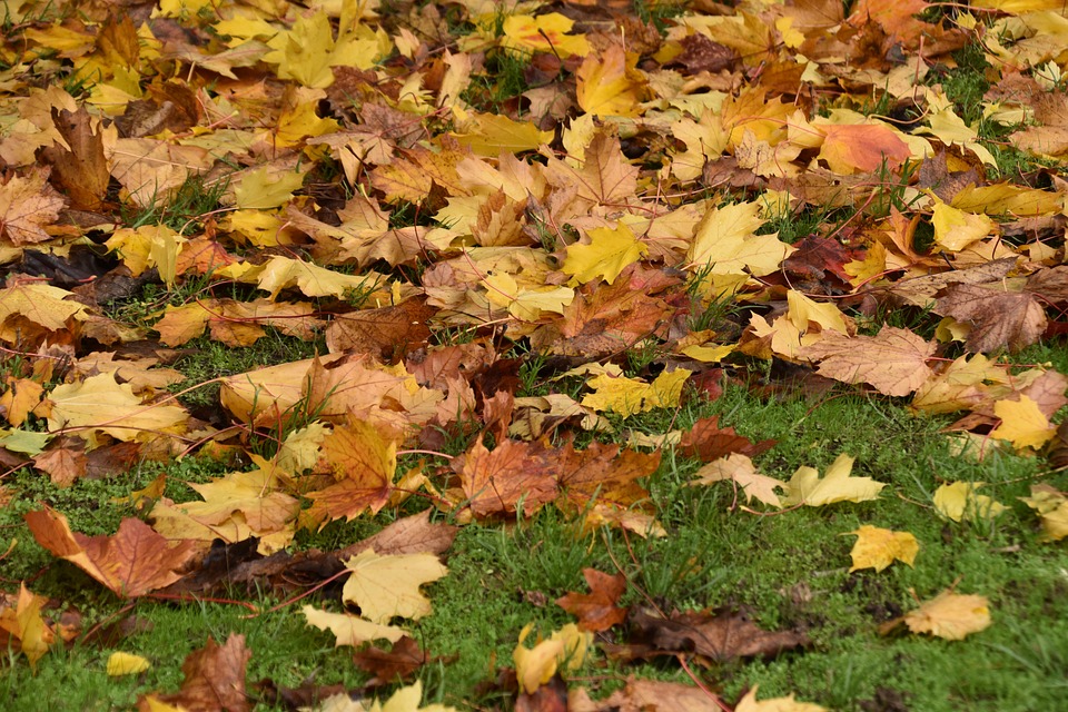 Verbraucherzentrale deckt Lebensmittel-Täuschung auf